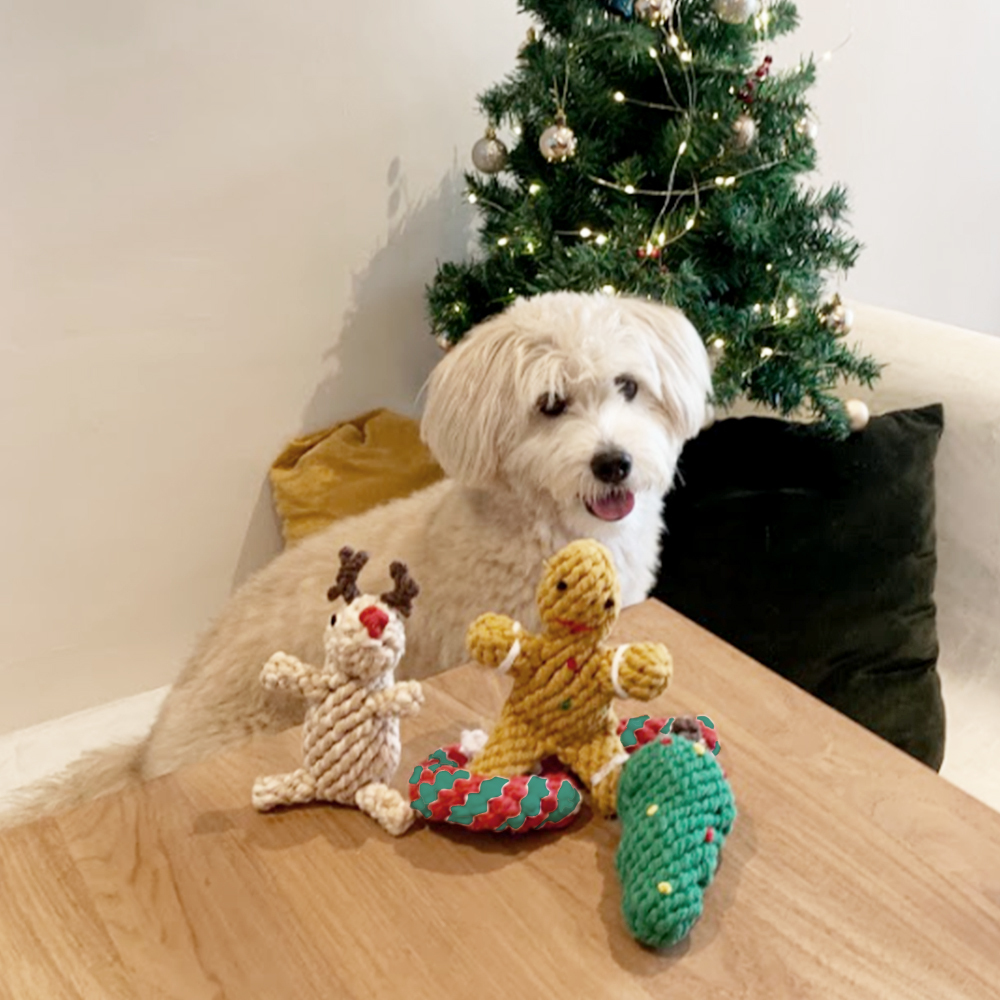 dog christmas toy set